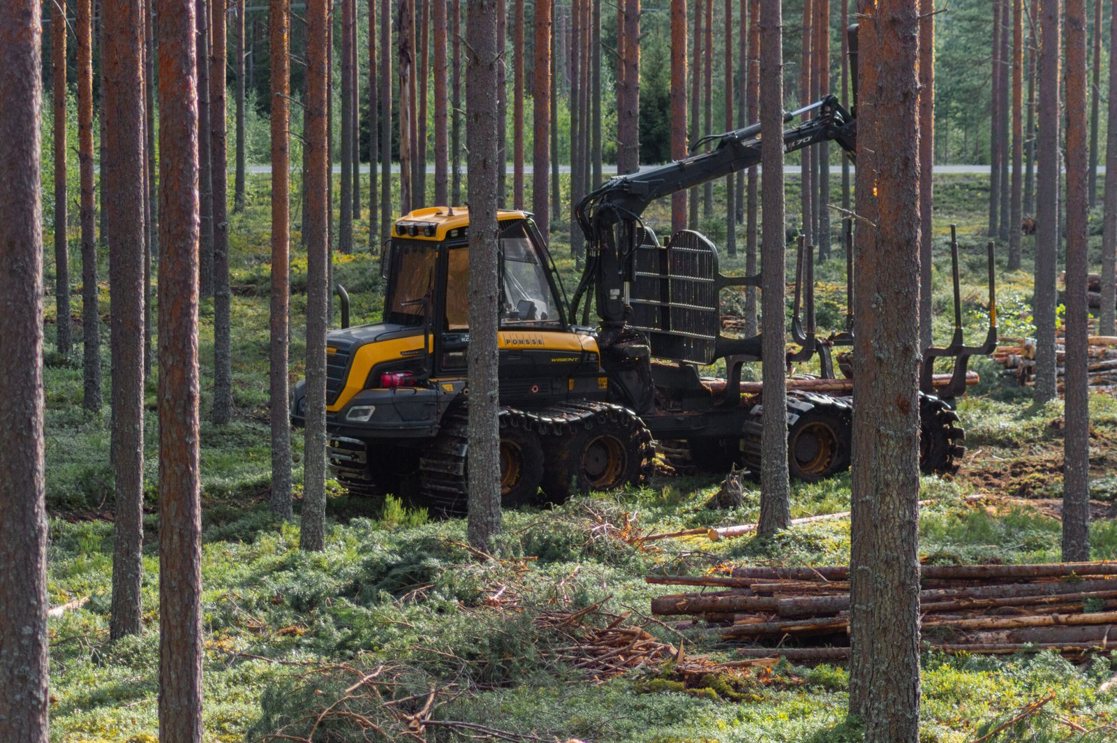 Metsätyö Koski Oy Ponsse-kone työssä maastossa