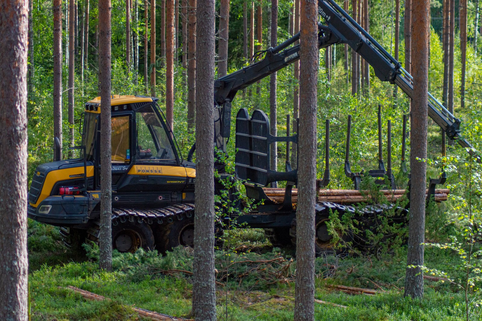 Ponsse-metsäkone työssä maastossa - Metsätyö Koski Oy