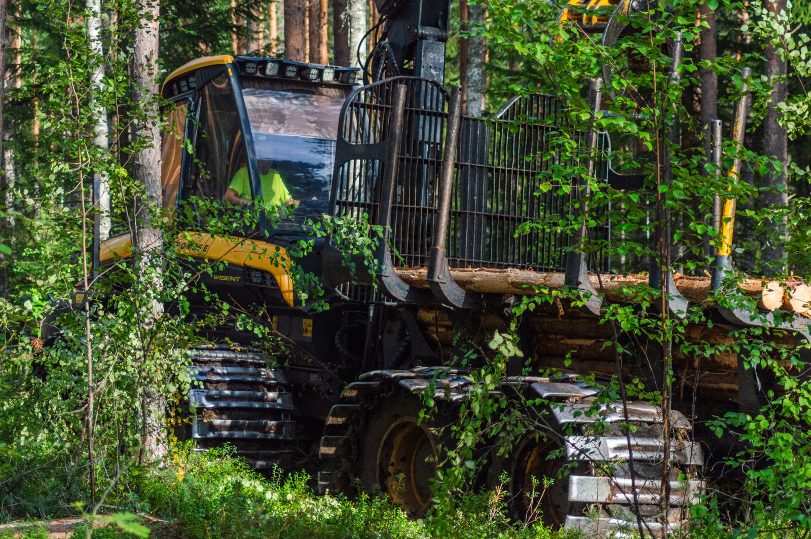 Metsätyö Koski - Ponsse kone työssä